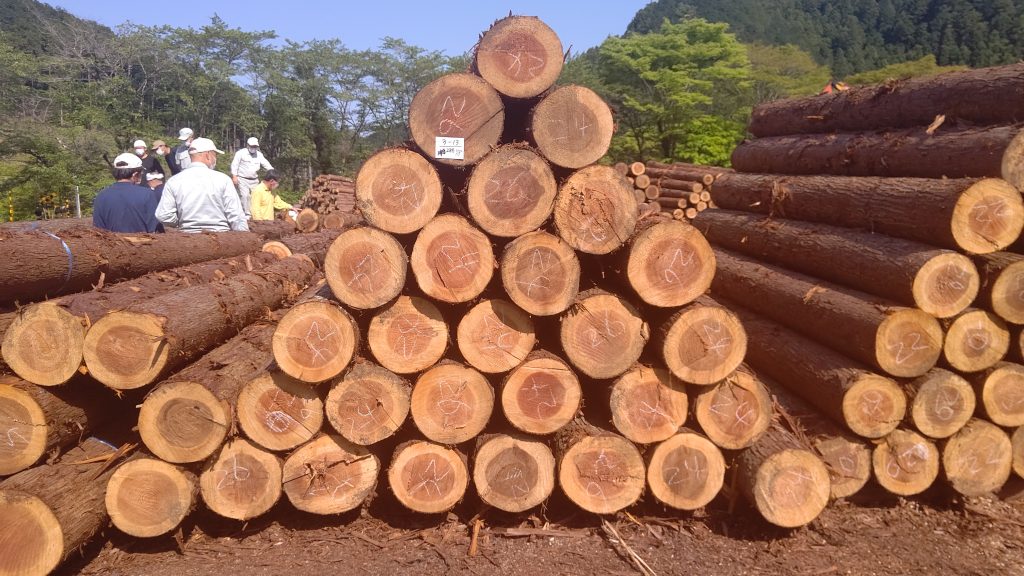 手工具だけを使って、杉の丸太を切り出して割って薪にしてみた