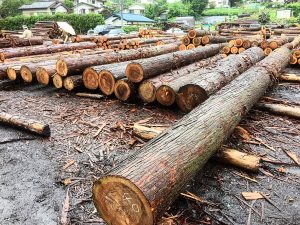 8メートルの梁材 - 有限会社 沖倉製材所